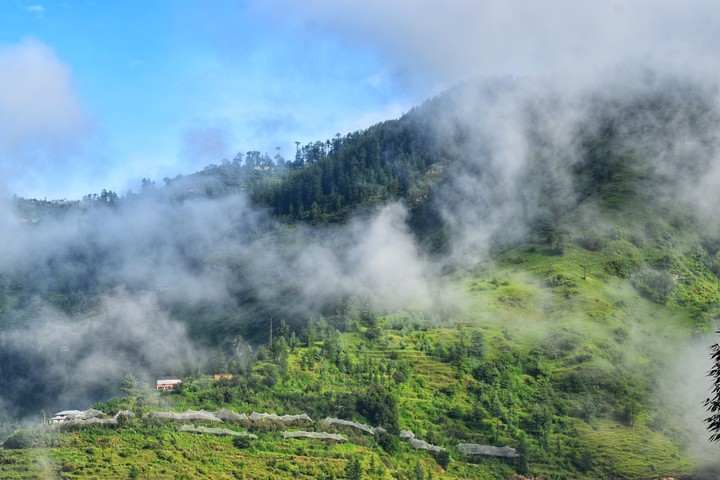 #After Raining