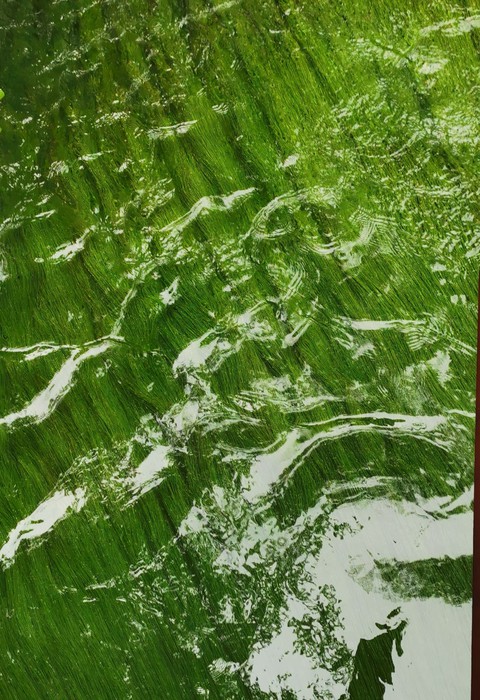 Green river