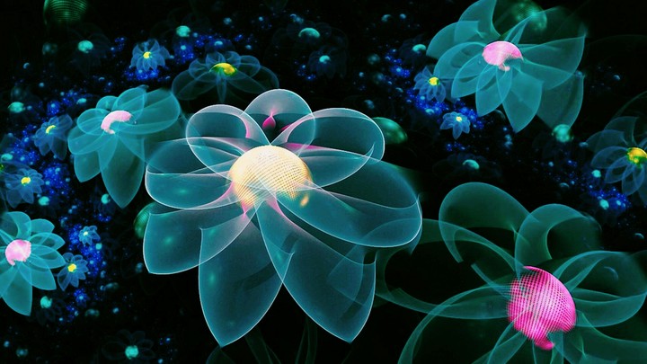 Neon Flower Illustration