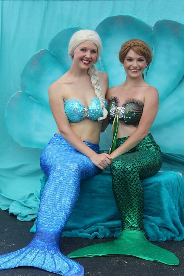 ELSA and ANNA