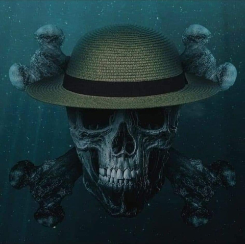 ταπετσαρίες fedora, hat
