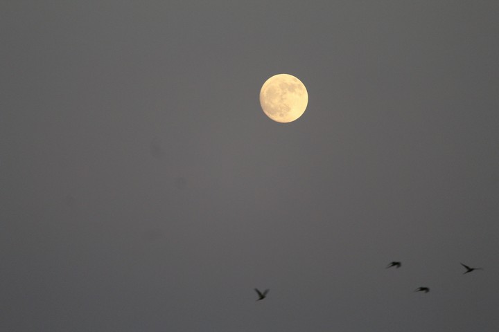 night seen