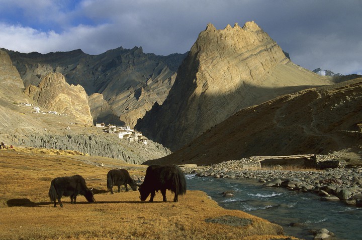 mountain landscape