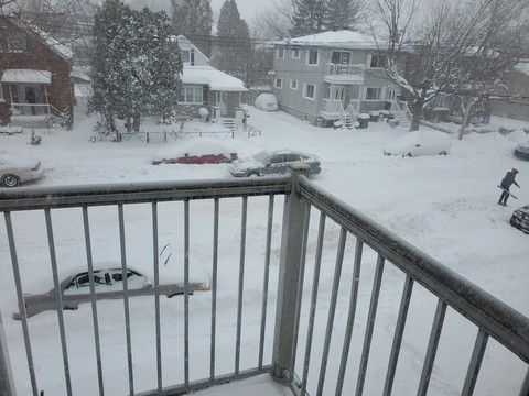 winter snow