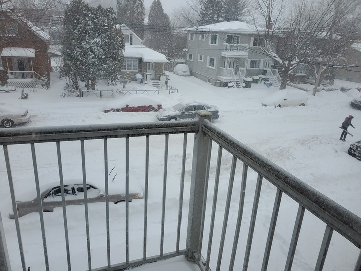 winter snow
