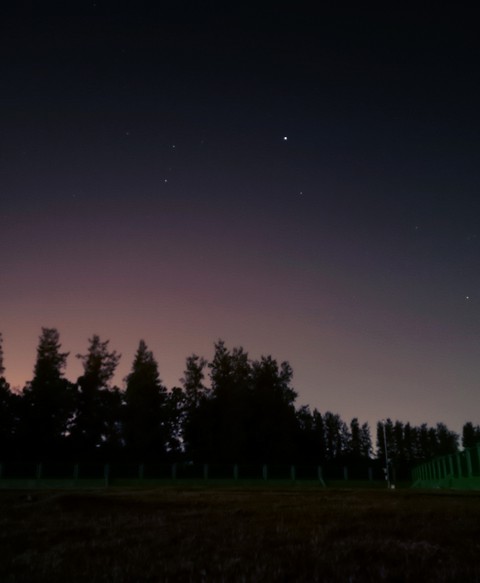 樹木, 夜景桌布
