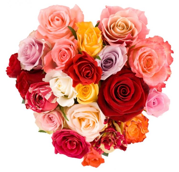 valentine day roses