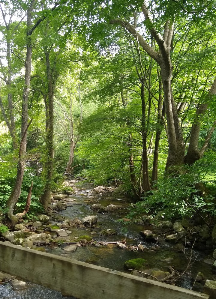 Mountain Creek