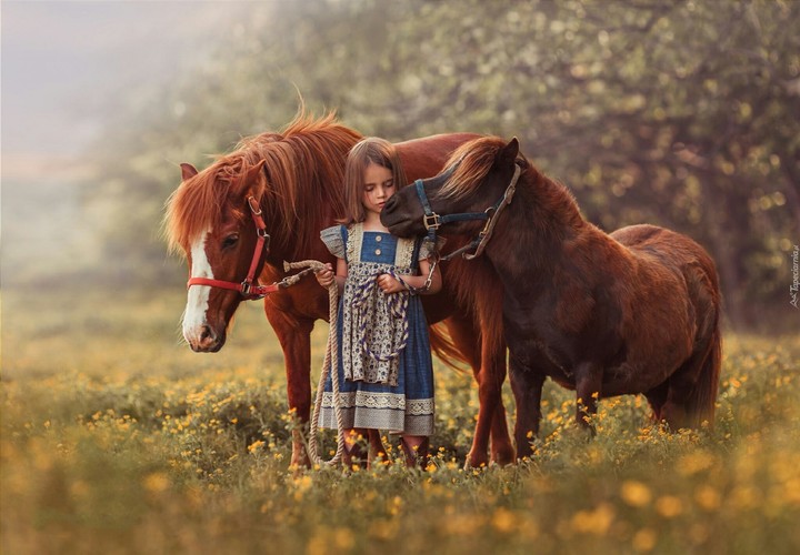 horse