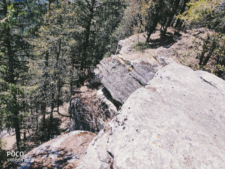 The Caves