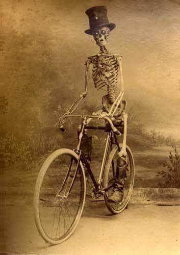 skeleton