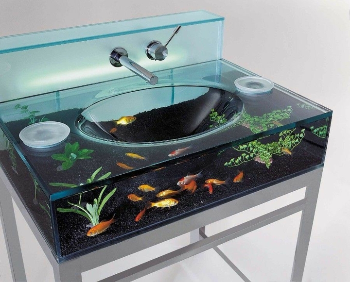 Fish ? Sink