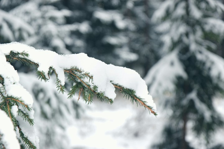 Winter