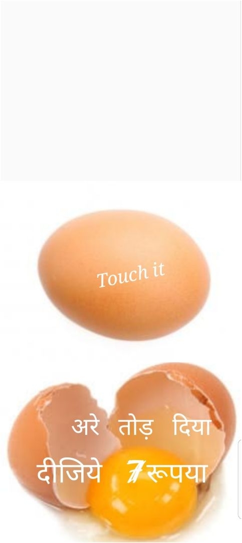 Egg