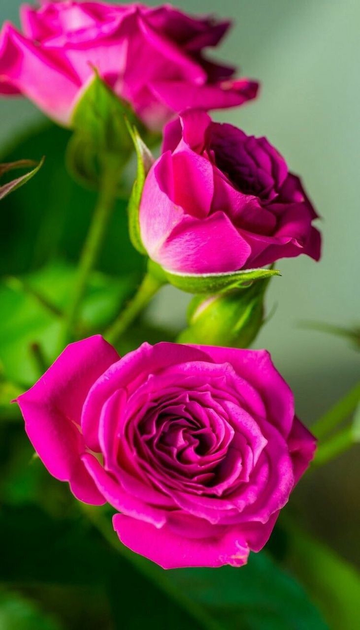 beautiful