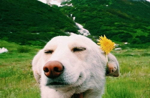 myfavouritephoto