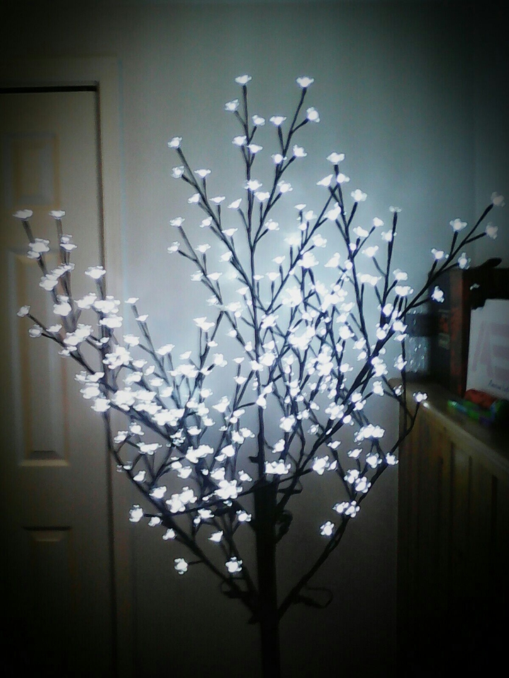 Blossom Lights