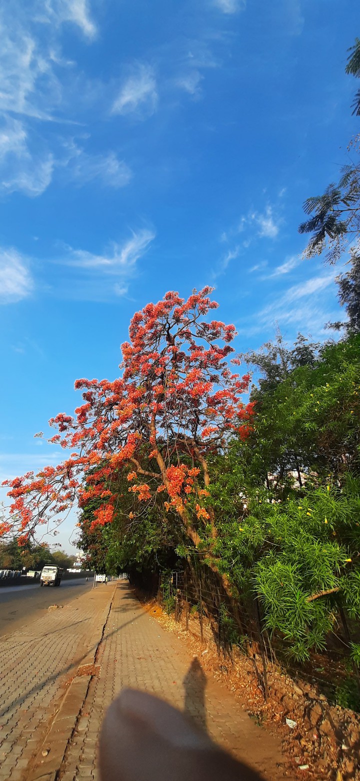 Spring