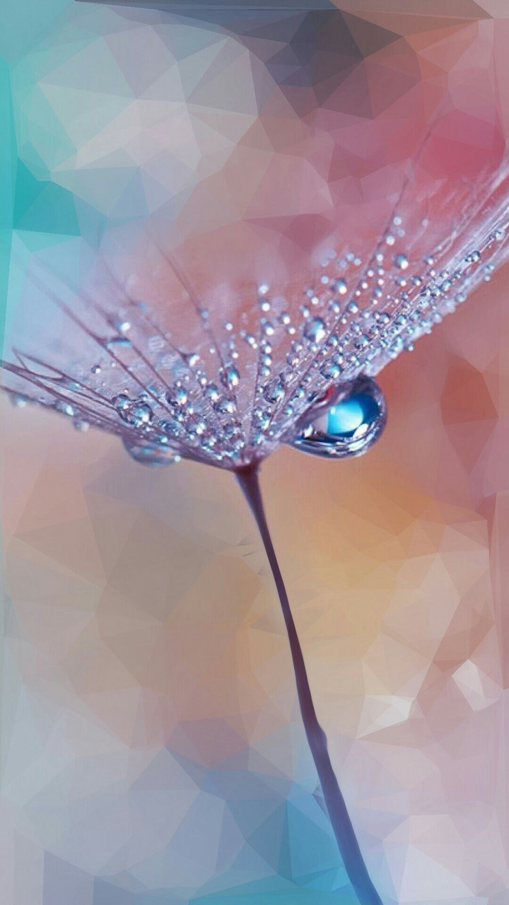 raindrops