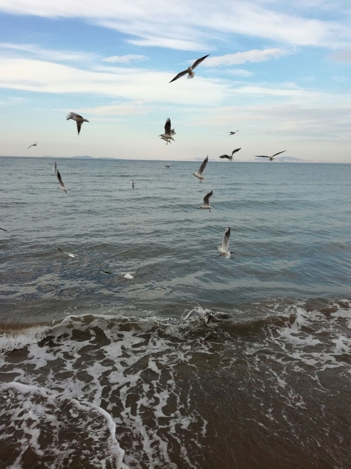 Yalova
