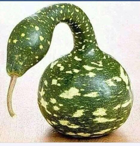 uau