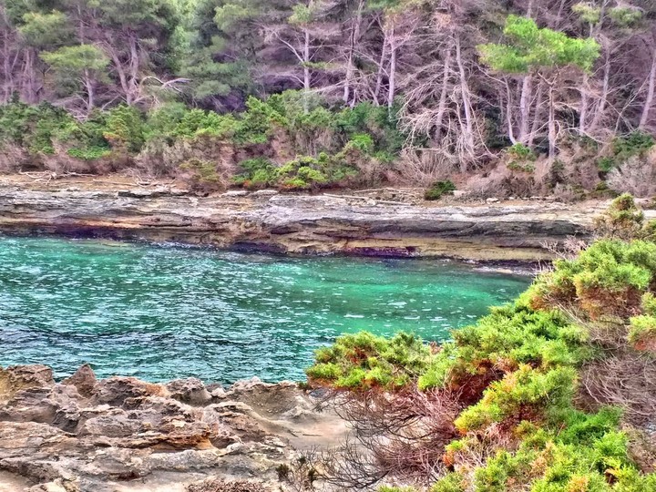 Isola di Pianosa