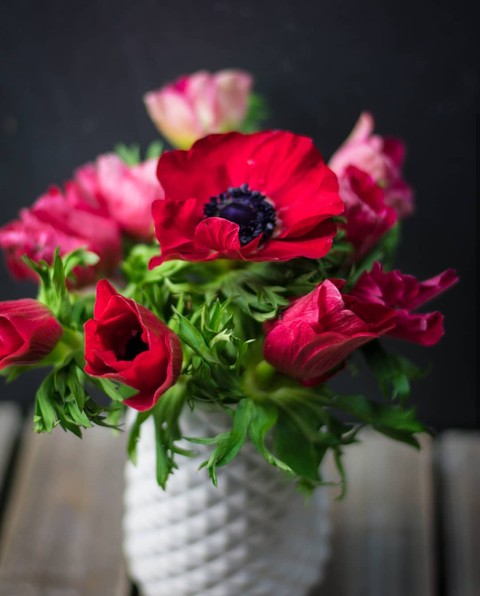 Red blossom