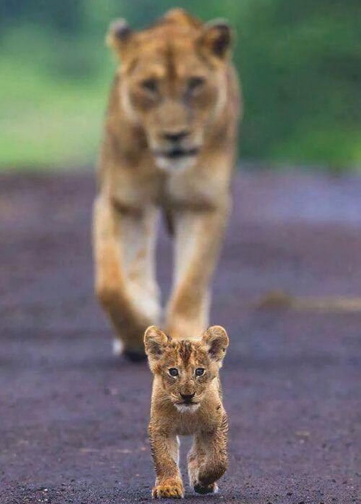 Dad & son