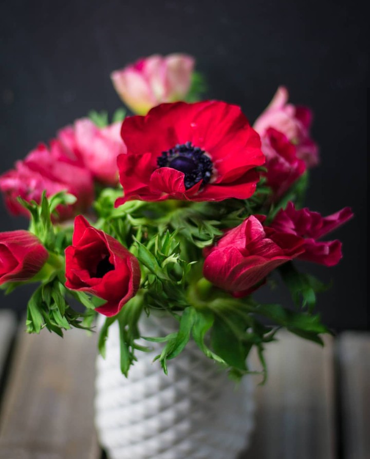 Red blossom