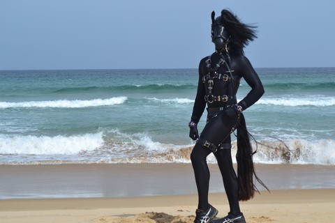 Rubber Horse