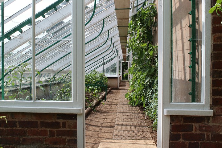 Green house