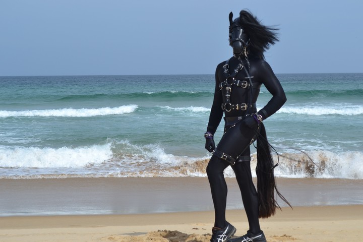 Rubber Horse