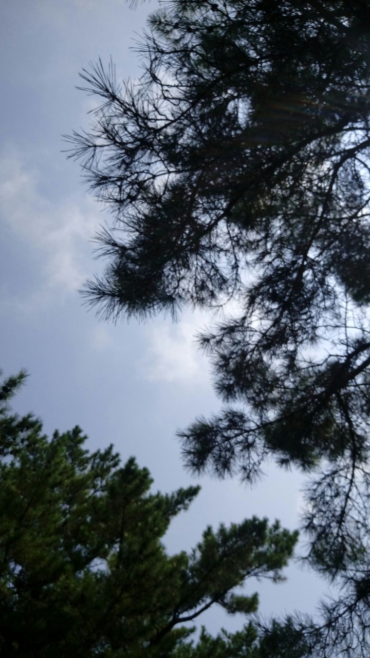 하늘