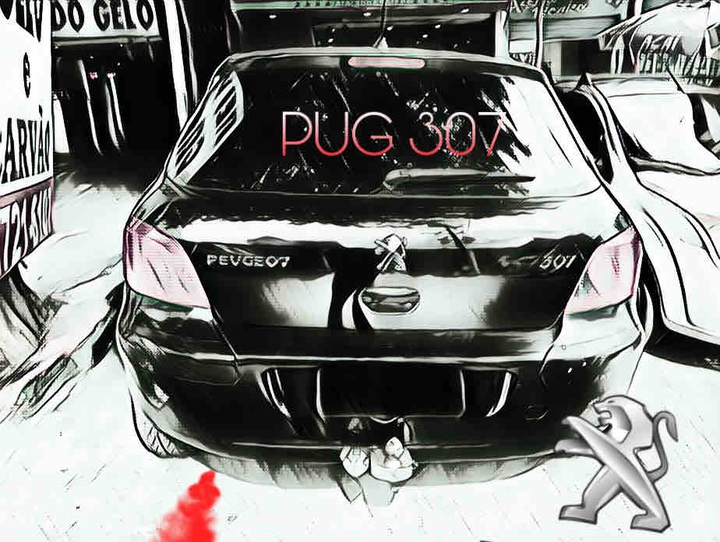 307 peugeot