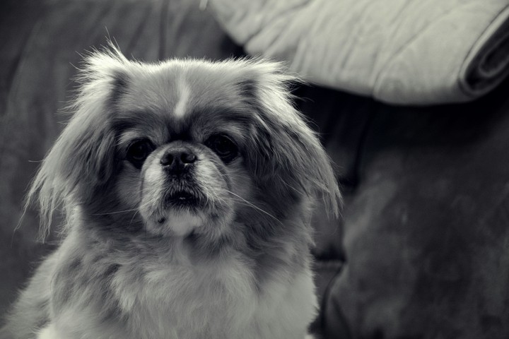Rocky 2