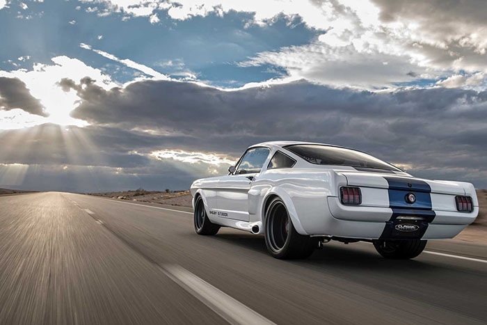 SHELBY?