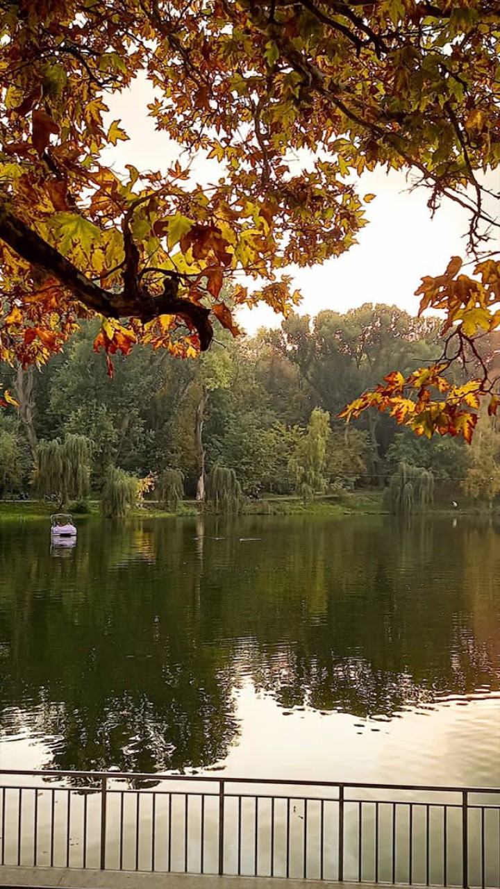 #wallpaper #click #nature