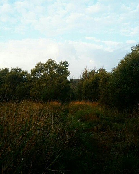 Park