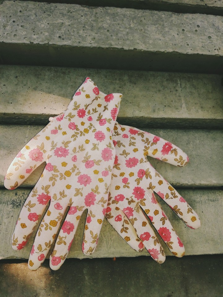 My colourful gloves 1