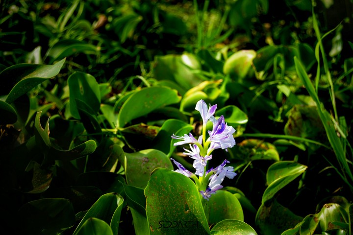 My first click....!!