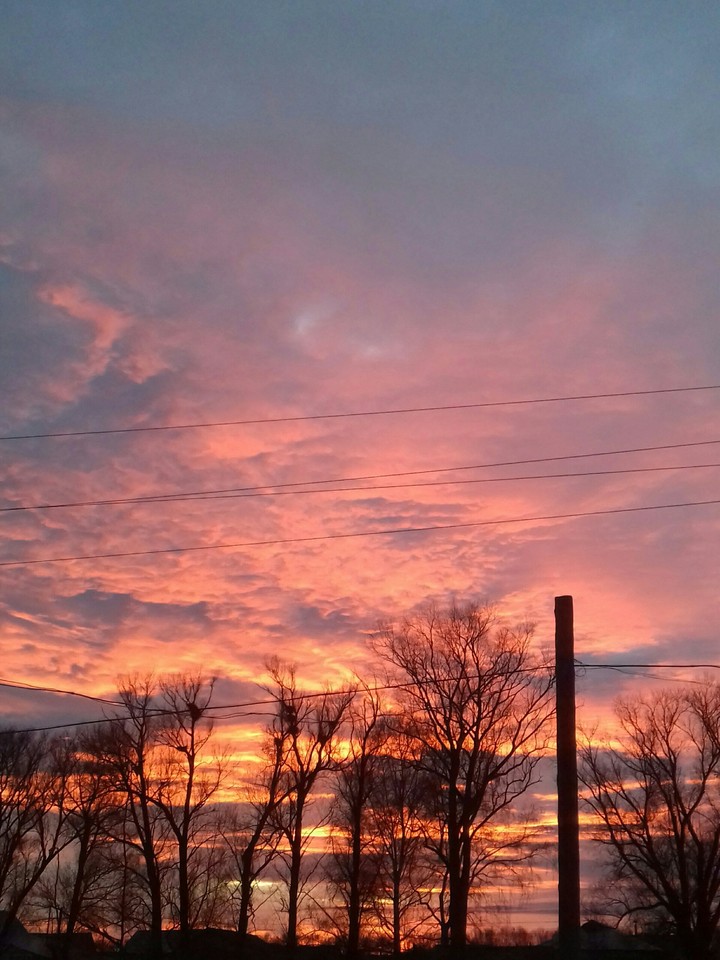 Sky
