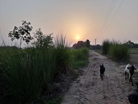 sun set