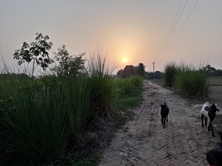 sun set