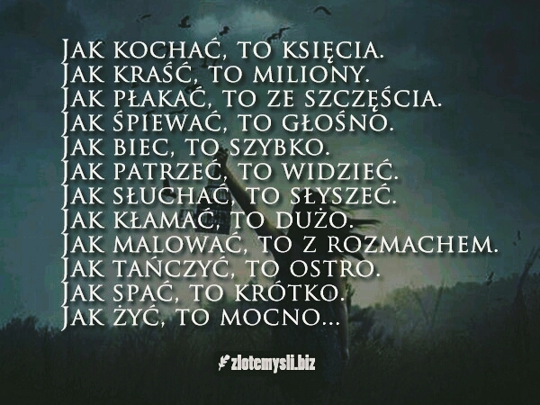 #cytaty
