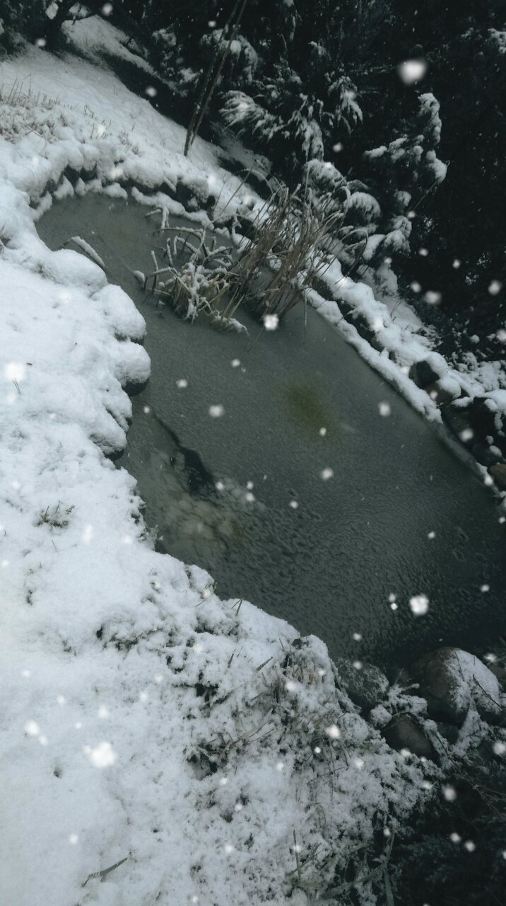 Polish winter ❤