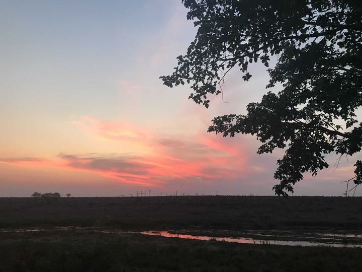lovely sunset by riverside in jungle