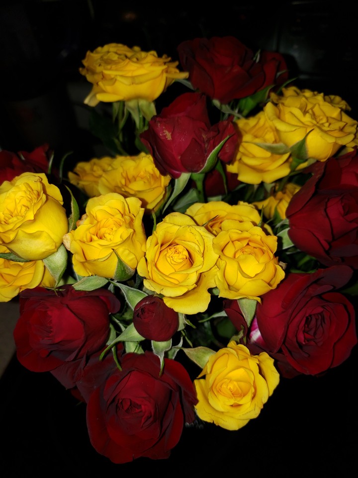 Flowers