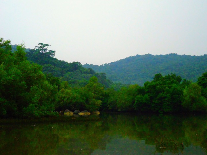 nature with green view