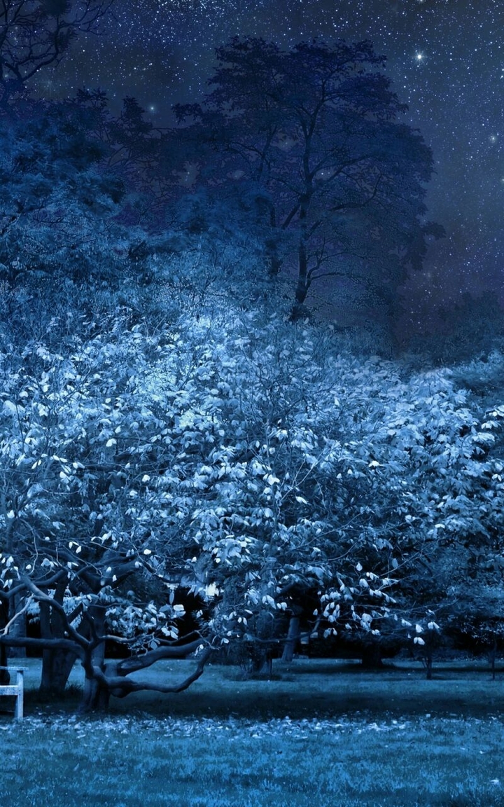 trees