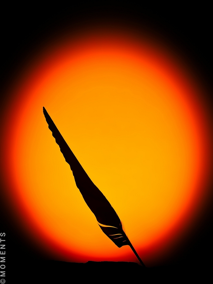 NEAR TO THE SUN